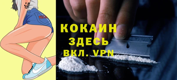 Альфа ПВП Алзамай