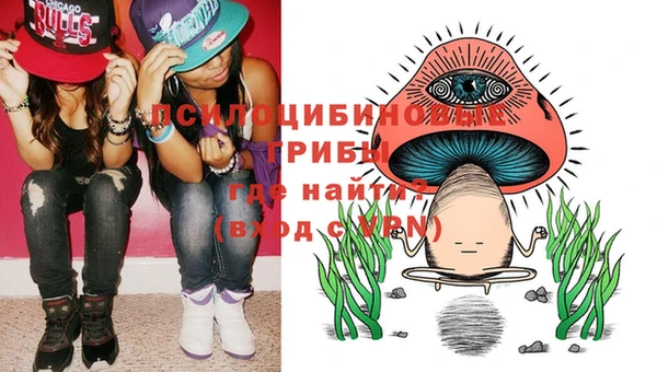 прущая мука Абаза