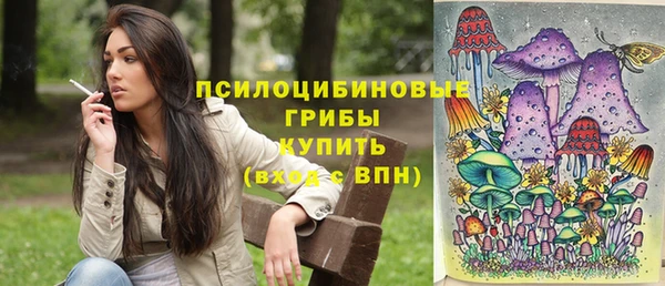 Альфа ПВП Алзамай